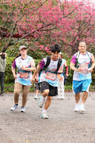 2026左岸竹東櫻花馬拉松Zhudong Sakura Marathon