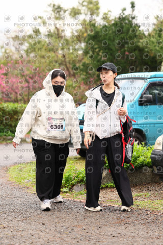 2026左岸竹東櫻花馬拉松Zhudong Sakura Marathon