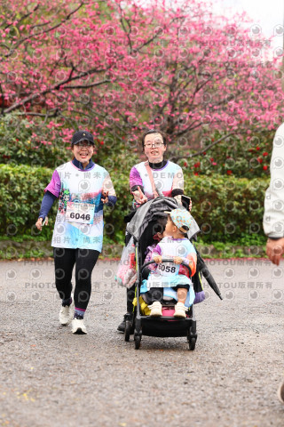 2026左岸竹東櫻花馬拉松Zhudong Sakura Marathon