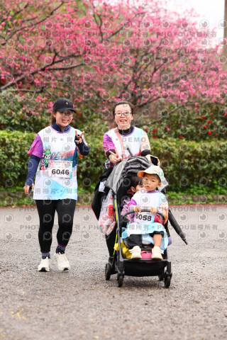 2026左岸竹東櫻花馬拉松Zhudong Sakura Marathon