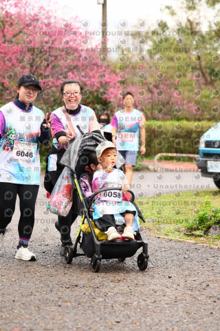 2026左岸竹東櫻花馬拉松Zhudong Sakura Marathon