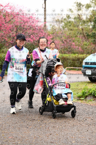 2026左岸竹東櫻花馬拉松Zhudong Sakura Marathon