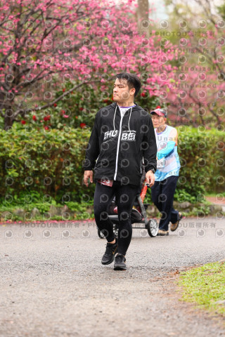 2026左岸竹東櫻花馬拉松Zhudong Sakura Marathon
