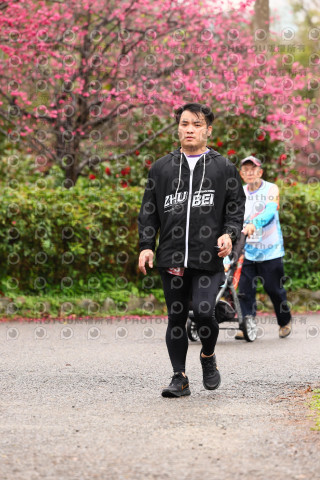 2026左岸竹東櫻花馬拉松Zhudong Sakura Marathon