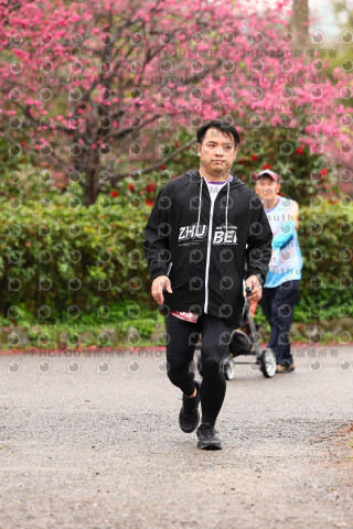 2026左岸竹東櫻花馬拉松Zhudong Sakura Marathon
