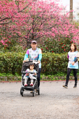 2026左岸竹東櫻花馬拉松Zhudong Sakura Marathon