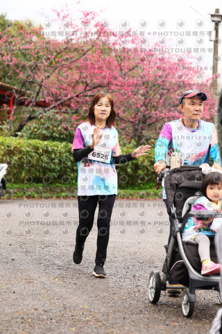 2026左岸竹東櫻花馬拉松Zhudong Sakura Marathon