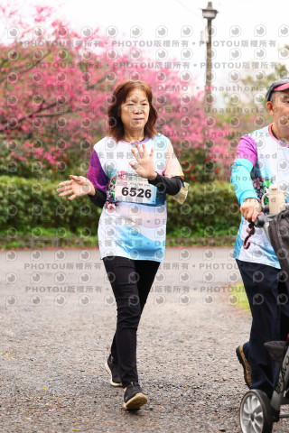 2026左岸竹東櫻花馬拉松Zhudong Sakura Marathon