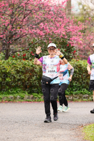 2026左岸竹東櫻花馬拉松Zhudong Sakura Marathon