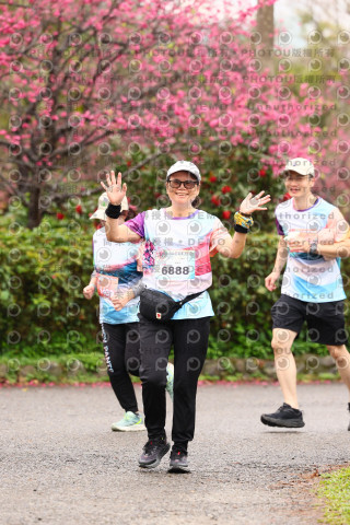 2026左岸竹東櫻花馬拉松Zhudong Sakura Marathon