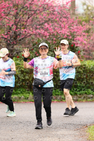 2026左岸竹東櫻花馬拉松Zhudong Sakura Marathon