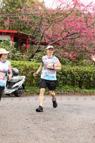 2026左岸竹東櫻花馬拉松Zhudong Sakura Marathon