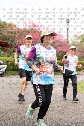 2026左岸竹東櫻花馬拉松Zhudong Sakura Marathon
