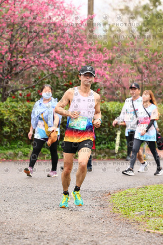 2026左岸竹東櫻花馬拉松Zhudong Sakura Marathon