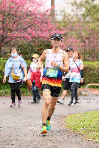 2026左岸竹東櫻花馬拉松Zhudong Sakura Marathon