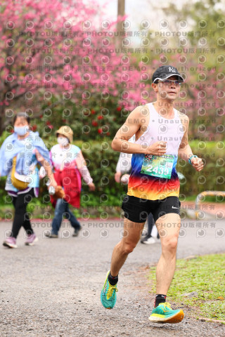 2026左岸竹東櫻花馬拉松Zhudong Sakura Marathon