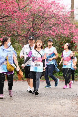 2026左岸竹東櫻花馬拉松Zhudong Sakura Marathon