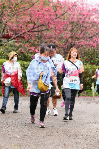 2026左岸竹東櫻花馬拉松Zhudong Sakura Marathon