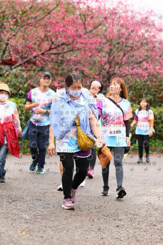 2026左岸竹東櫻花馬拉松Zhudong Sakura Marathon