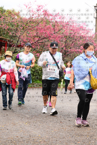 2026左岸竹東櫻花馬拉松Zhudong Sakura Marathon