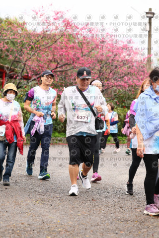 2026左岸竹東櫻花馬拉松Zhudong Sakura Marathon