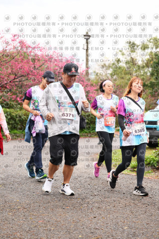 2026左岸竹東櫻花馬拉松Zhudong Sakura Marathon
