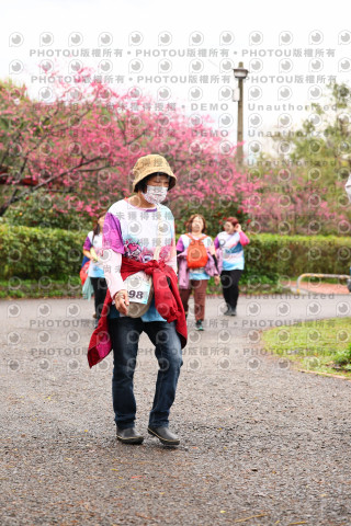 2026左岸竹東櫻花馬拉松Zhudong Sakura Marathon