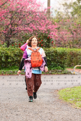 2026左岸竹東櫻花馬拉松Zhudong Sakura Marathon