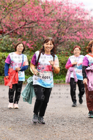 2026左岸竹東櫻花馬拉松Zhudong Sakura Marathon