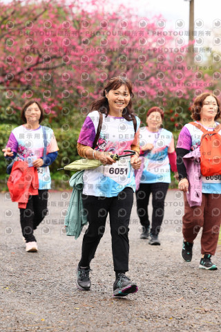 2026左岸竹東櫻花馬拉松Zhudong Sakura Marathon