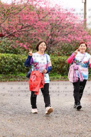 2026左岸竹東櫻花馬拉松Zhudong Sakura Marathon
