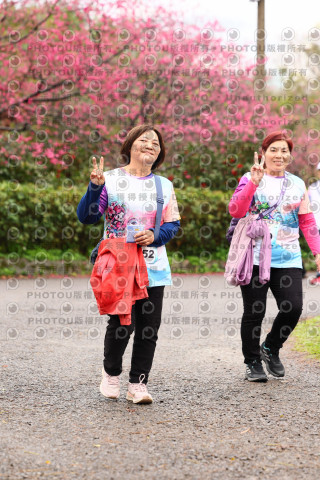 2026左岸竹東櫻花馬拉松Zhudong Sakura Marathon