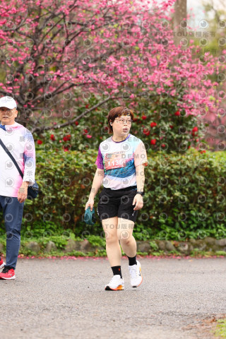 2026左岸竹東櫻花馬拉松Zhudong Sakura Marathon