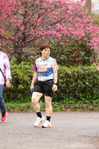 2026左岸竹東櫻花馬拉松Zhudong Sakura Marathon