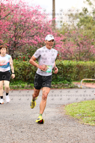 2026左岸竹東櫻花馬拉松Zhudong Sakura Marathon