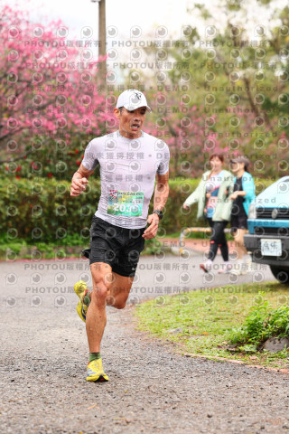 2026左岸竹東櫻花馬拉松Zhudong Sakura Marathon