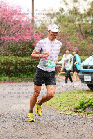 2026左岸竹東櫻花馬拉松Zhudong Sakura Marathon