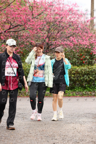 2026左岸竹東櫻花馬拉松Zhudong Sakura Marathon