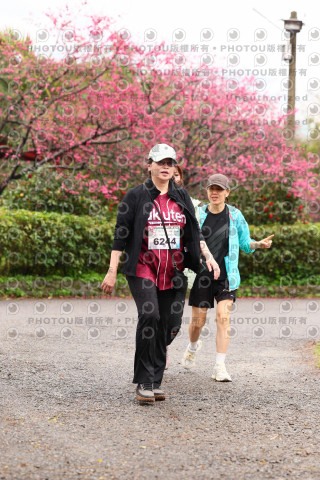 2026左岸竹東櫻花馬拉松Zhudong Sakura Marathon