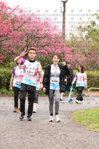 2026左岸竹東櫻花馬拉松Zhudong Sakura Marathon