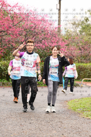 2026左岸竹東櫻花馬拉松Zhudong Sakura Marathon