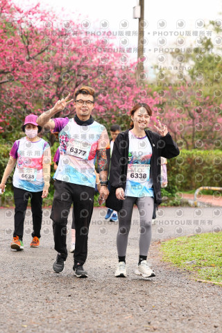 2026左岸竹東櫻花馬拉松Zhudong Sakura Marathon