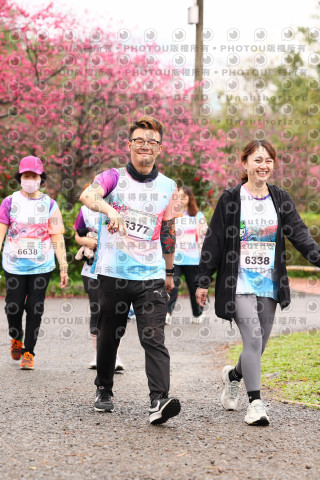 2026左岸竹東櫻花馬拉松Zhudong Sakura Marathon