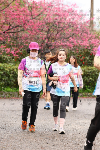 2026左岸竹東櫻花馬拉松Zhudong Sakura Marathon