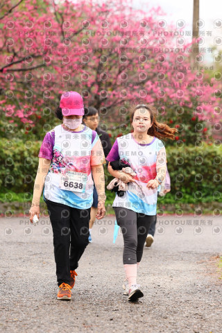 2026左岸竹東櫻花馬拉松Zhudong Sakura Marathon