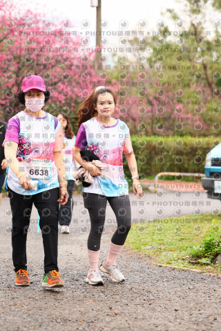 2026左岸竹東櫻花馬拉松Zhudong Sakura Marathon