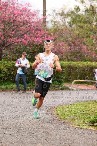 2026左岸竹東櫻花馬拉松Zhudong Sakura Marathon