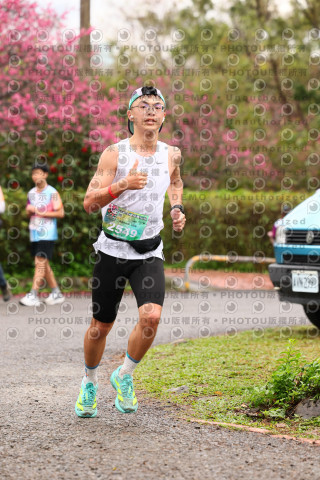 2026左岸竹東櫻花馬拉松Zhudong Sakura Marathon