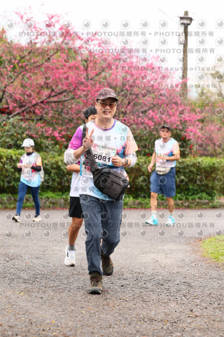 2026左岸竹東櫻花馬拉松Zhudong Sakura Marathon
