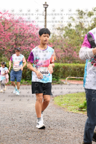 2026左岸竹東櫻花馬拉松Zhudong Sakura Marathon